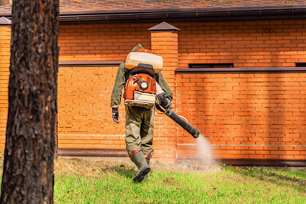 Trusted Mosquito Control service in David City, NE - Nex Pest Control